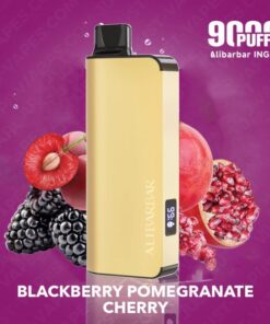 BLACKBERRY POMEGRANATE CHERRY – ALIBARBAR INGOT – 9000 PUFFS