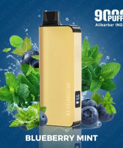 BLUEBERRY MINT – ALIBARBAR INGOT – 9000 PUFFS